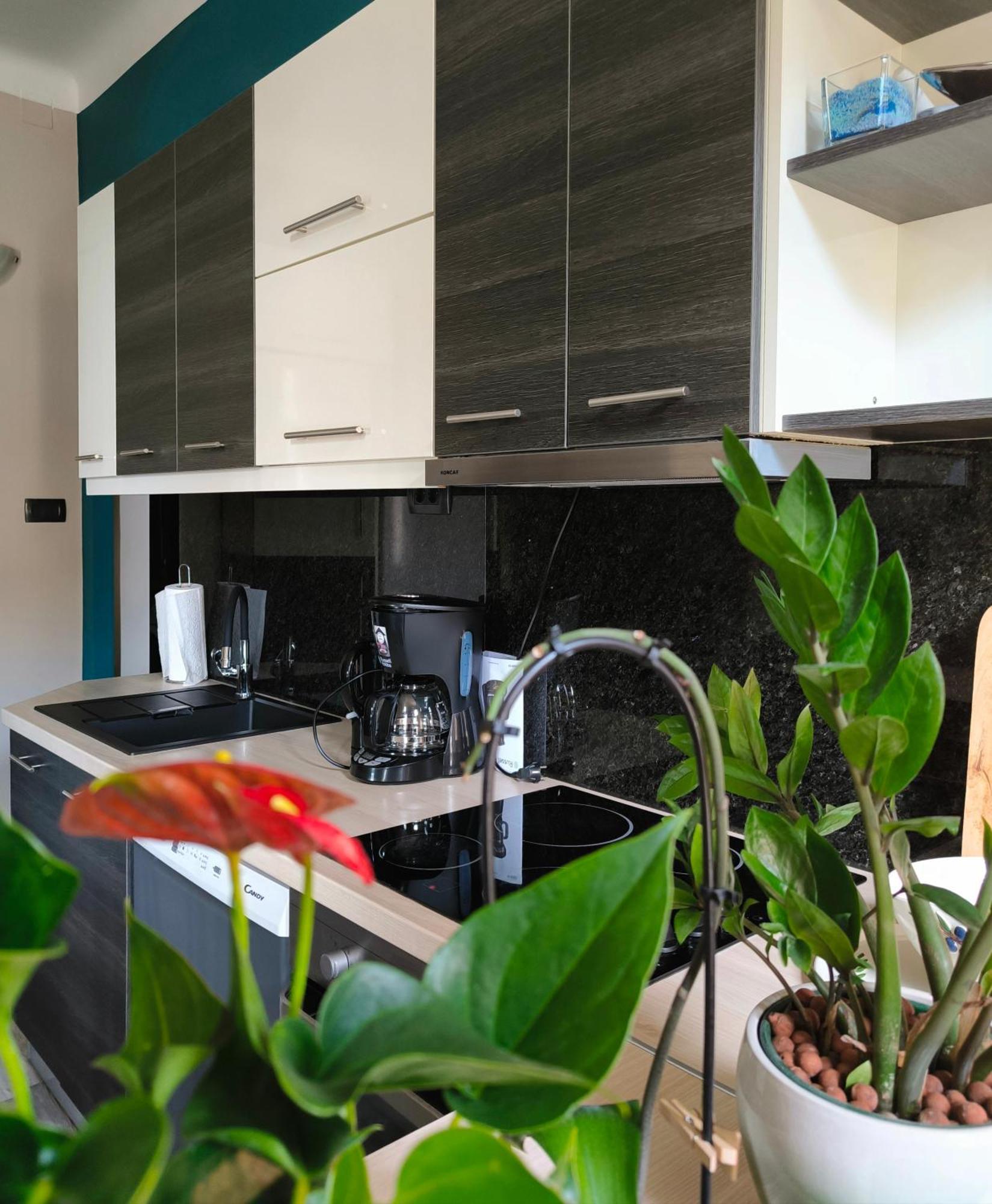 Urban Villa Apartment أوباتيا المظهر الخارجي الصورة